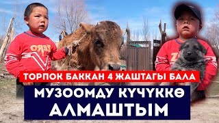 Торпок баккан 4 жаштагы бала // Музоомду күчүккө алмаштым // Сокол Медиа