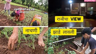 कोकणातील खरी मज्जा भात आणि नाचणीची लावणी करताना | #viral #kokanvillage #farming #marathivlogger