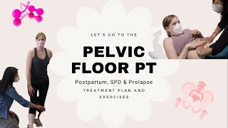 Come with Me to the Pelvic Floor PT ||  Diastasis Recti & Prolapse Treatment Plan and Exercises