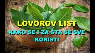 LOVOROV LIST - KAKO Se i Za ŠTA Se SVE KORISTI