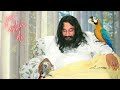 jai ashu di shri ashutosh maharaj ji bhajan