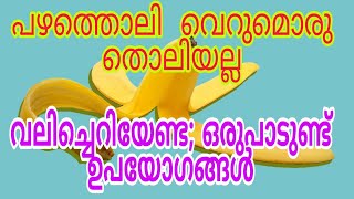 പഴത്തൊലി അത്ര നിസാരക്കാരനല്ല; അറിയാം ഈ ഉപയോഗങ്ങൾ