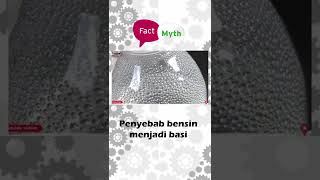 Apa Penyebab Bensin Basi? #bensin #pertalite #pertamax #mitosfakta #perawatanmobil