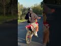 Honda cr125r pure sound