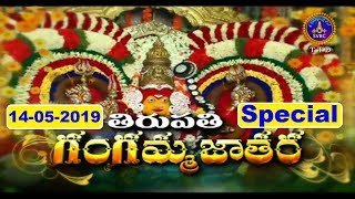 తిరుపతి గంగజాతర | Tirupati Gangajatara | Special | 14-05-19 | SVBC TTD