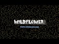 [FREE] Billie eilish wildflower instrumental trap beat BY TBOYBEATS