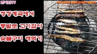 청정계곡에서 통발로 고기잡아 솔방울 숯불구이 해먹기