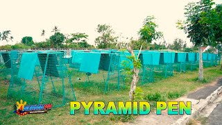 NOKMA PH: GOOD IDEA - PYRAMID PEN