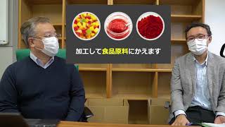 【0→1と1→10では、思考と行動を根本的に変える】起業支援case10：未利用農作物の活用事業