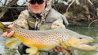 Wild Brown Trout Of A Lifetime (PB) in Small PA Stream (5 Years Of History) #fishing #trout #fish