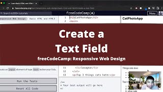 Create a Text Field (Basic HTML and HTML5) freeCodeCamp tutorial