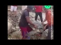 Indonesian Rescuers Save Stranded Sea Turtles