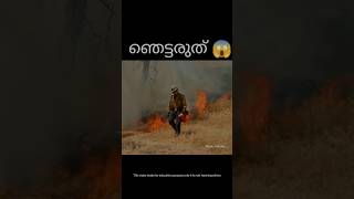 ഇത് കാണാതെ പോകരുത് gys 😱❗️ unknown facts | facts Malayalam  #shorts #viral  #trending