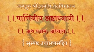 पाणिनीय अष्टाध्यायी पञ्चमः अध्यायः| PANINIYA ASHTADHYAYI 05|सुस्पष्ट उच्चारणसहित |JSD VED VIDYALAYA