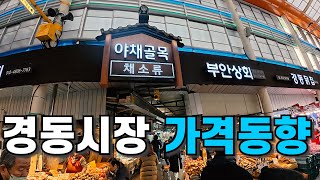 경동시장 과일, 해산물, 인삼 가격 확인! 장보러 가기 전 필수 시청!