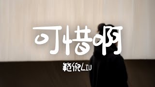 範倪Liu -《可惜啊》｜別人總說時間沖淡回憶  可為什麽你越來越清晰【動態歌詞Lyrics】