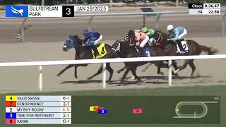 Gulfstream Park Carrera 3 - 29 de Enero 2025