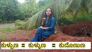 ಶಿವಳ್ಳಿ shivalli tulu vlog| difference between the words from one place to other.