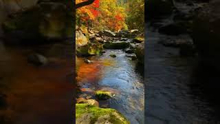 Benxi Grand Earth Forest Park In the golden October