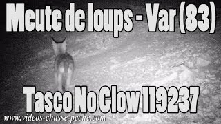 Meute de loups - Var 83