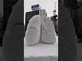 【 さっぽろ雪まつり ④】芸術的な雪像達