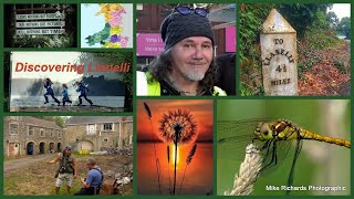 Discovering Wild Llanelli 2023 ~ The Lily Pads ~