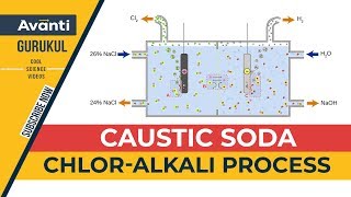 10S02 - Acids, Bases and Salt - Caustic Soda | Sodium Hydroxide  | Chlor-Alkali process