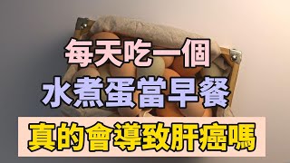 每天吃1個水煮蛋當早餐，对会致肝癌？醫生揭秘：雞蛋与肝癌、脂肪肝的关系！