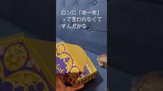 蛙チョコの裏話(?) これってみんなどうやって食べてるの？ハリーポッター スタジオツアー グッズ購入品 開封動画 #shorts