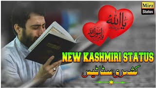 new kashmiri naat status || New Kashmiri Naat Whatsapp Status