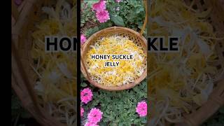 Easy honey suckle jelly! #jelly