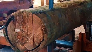 Sawmill.proses pemotongan kayu Meranti dengan gergaji mesin bandsaw