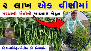 મરચા ની ખેતી કરતા ખેડૂતો માટે અગત્યની માહિતી #મરચી #મરચા