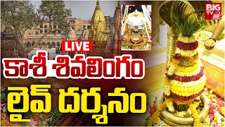 శివయ్య లైవ్ దర్శనం | Kashi Vishwanath Darshan | BIG TV LIVE