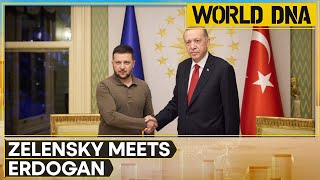 Ukraine President Zelensky holds talk with Turkey counterpart , discuss peace formula for war