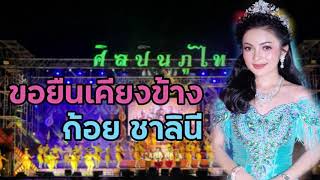 ขอยืนเคียงข้าง - ก้อย ชาลินี