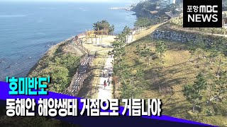 '호미반도',동해안 해양생태 거점으로 거듭나야 (2022.10.03/뉴스데스크/포항MBC)