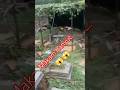 Makam hanyut.. #kuburan #shortsviral #viralvideo #banjir #viralvideo