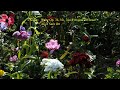 Chopin : Waltz Op. 34, No. 3 in F major  -  Vivace