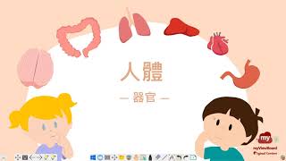 myViewBoard 原創內容：人體-器官