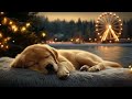 12 hours calming music for dogs 🐶 music to anti separation anxiety relief deep sleep 🎵💖