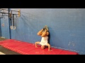 kipping handstand pushups crossfit exercise guide