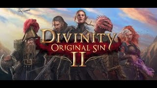 Divinity Original Sin II - 001