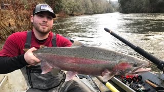 BIG December STEELHEAD (2020)