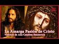 LA PASIÓN DE CRISTO - Visiones de Ana Catalina Emmerick (COMPLETO)