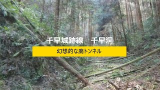 【幻想的な廃トンネル】　河内長野千早城跡線【千早洞】探索しました