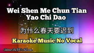 Wei Shen Me Chun Tian Yao Chi Dao 为什么春天要迟到 karaoke no vocal