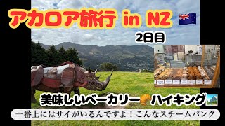 #226【ニュージーランドのアカロア旅行④ 🇳🇿】ベーカリーにテンション上がる💓またまたハイキング🥾フィッシング🎣