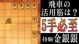 【将棋】必至をかけてください「飛車のポテンシャル（５手）」【将棋終盤の基本】