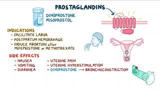 4  Uterine stimulants and relaxants